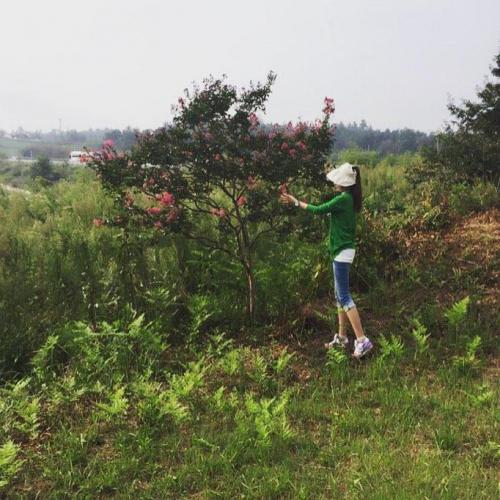 ????⭐️??#myfathershometown #prettytree #꼬꼬마나무