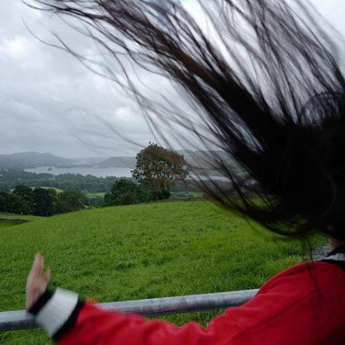 Honestly, this is how I feel today?내일을 마주할 오늘의 기분? #gardeners ❤️