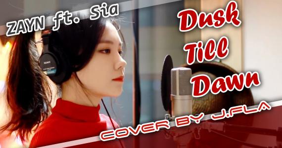 Dusk Till Dawn ft. Sia